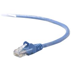 Rete RJ-45 maschio Rete RJ-45 maschio Belkin Cavo di rete ING-Belkin Cat5e ... 