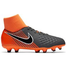 magista professionali