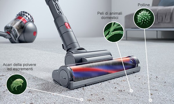 Dyson Allergy Campaign