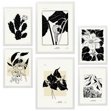 Colore Cornice bianca