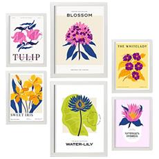 Colore Cornice bianca