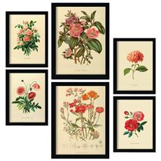 Colore Senza cornice