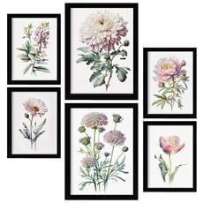 Colore Senza cornice