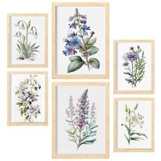 Colore Telaio in legno chiaro