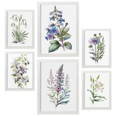 Colore Cornice bianca