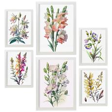 Colore Cornice bianca