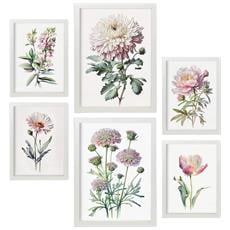 Colore Cornice bianca