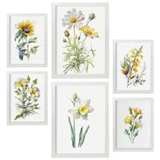 Colore Cornice bianca