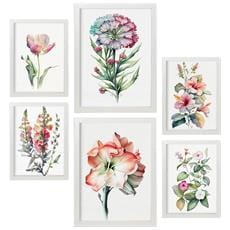 Colore Cornice bianca