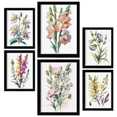 Colore Senza cornice