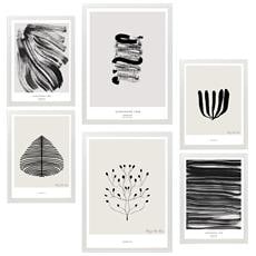 Colore Cornice bianca