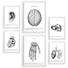 Colore Cornice bianca