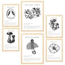 Colore Telaio in legno chiaro