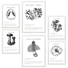 Colore Cornice bianca