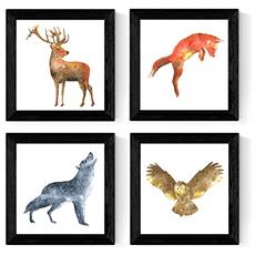 Colore Senza cornice