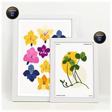 Colore Cornice bianca