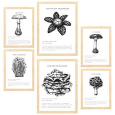 Colore Telaio in legno chiaro