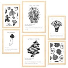 Colore Telaio in legno chiaro