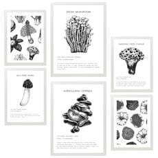 Colore Cornice bianca