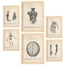 Colore Telaio in legno chiaro