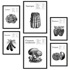 Colore Senza cornice