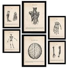 Colore Senza cornice