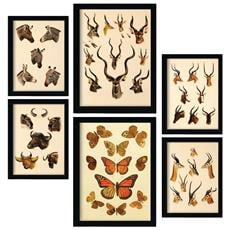 Colore Cornice bianca