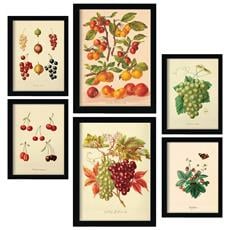 Colore Cornice bianca