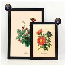 Colore Cornice nera