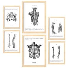 Colore Telaio in legno chiaro