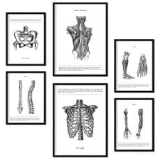 Colore Senza cornice