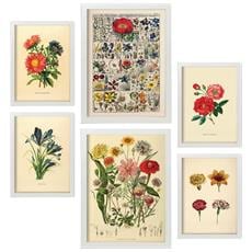 Colore Cornice bianca