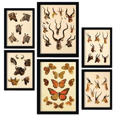 Colore Senza cornice