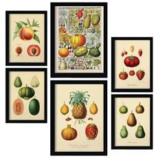 Colore Cornice bianca