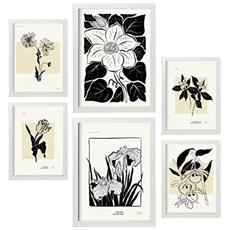 Colore Cornice bianca