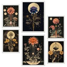 Colore Cornice bianca