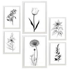 Colore Cornice bianca