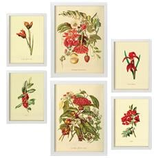 Colore Cornice bianca