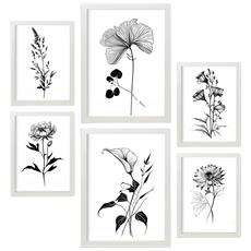 Colore Cornice bianca