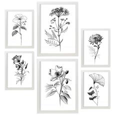 Colore Cornice bianca