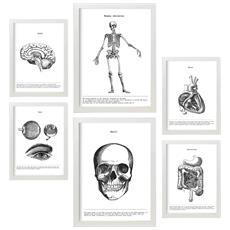 Colore Cornice bianca