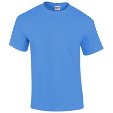 Colore Carolina Blue