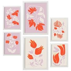 Colore Cornice bianca