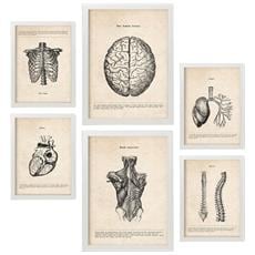 Colore Cornice bianca