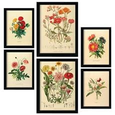 Colore Senza cornice