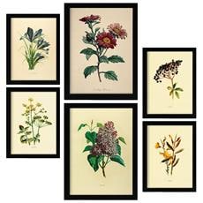 Colore Senza cornice