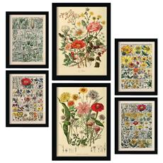 Colore Senza cornice