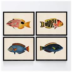 Colore Senza cornice