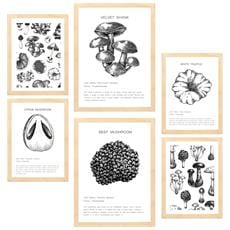 Colore Telaio in legno chiaro