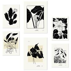 Colore Senza cornice